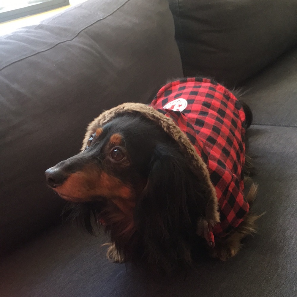 Dog Plaid Button Jacket